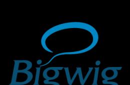 Школа иностранных языков «Бигвиг» (BigWig) Дополнительная информация, предоставленная школой