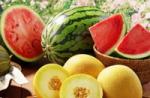 Jak vybrat správný meloun?