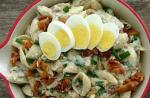 Těstoviny s vejcem - pokrm s tisíci variacemi